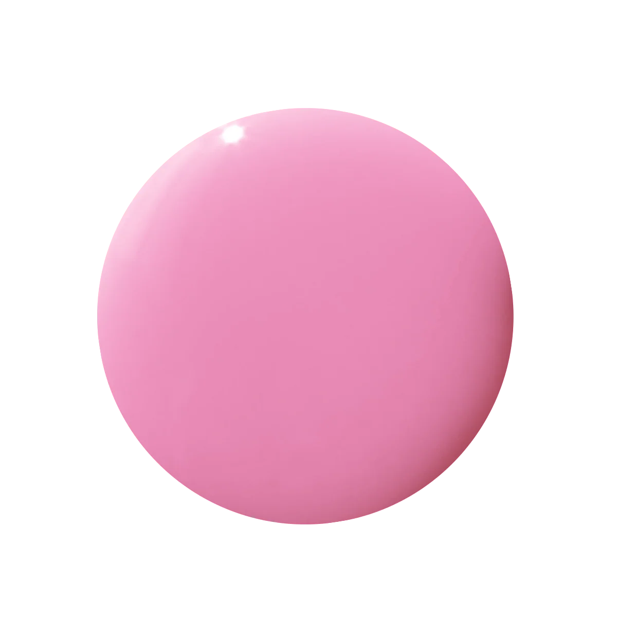 Taffy - Image 11