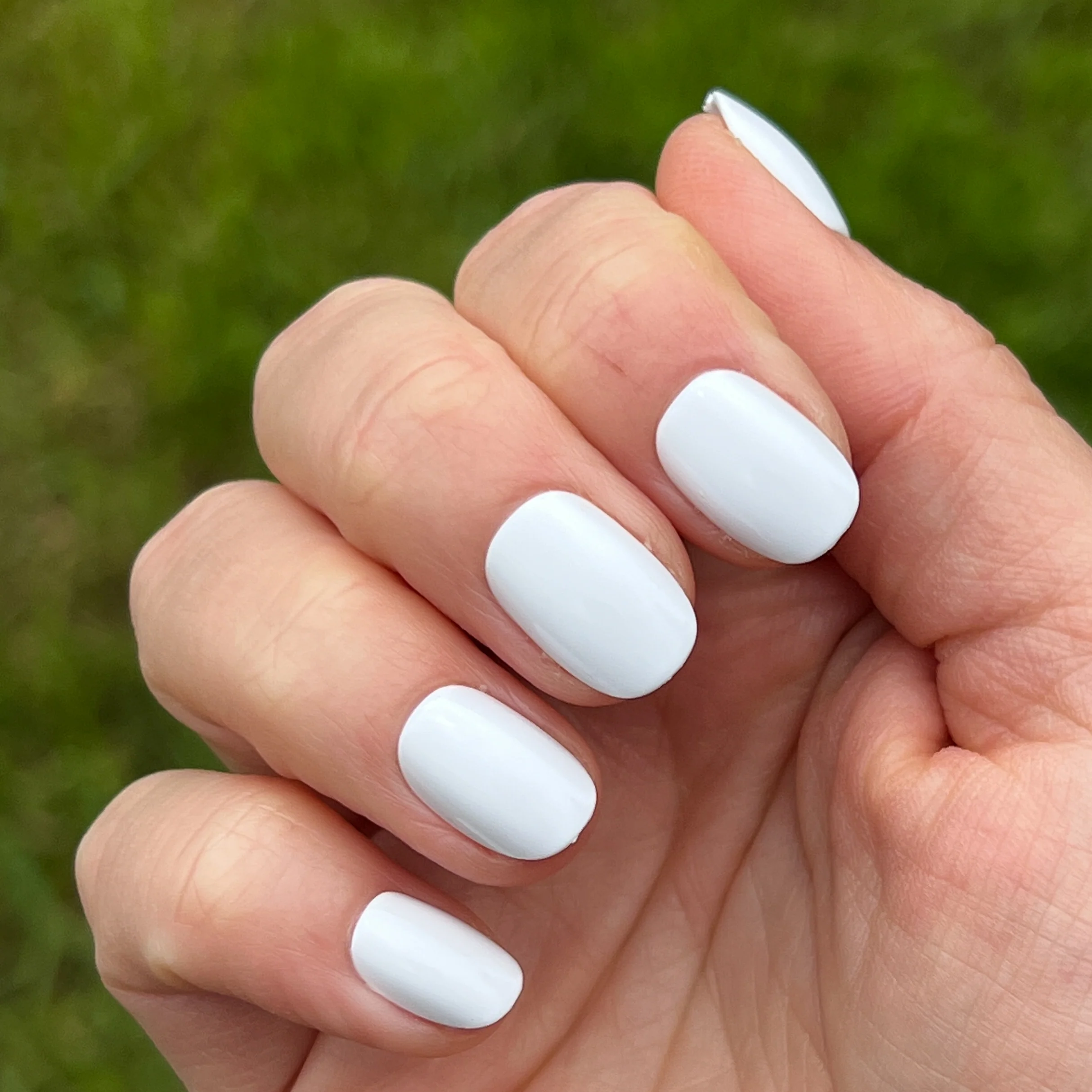 Timeless Neutrals Set - Image 2
